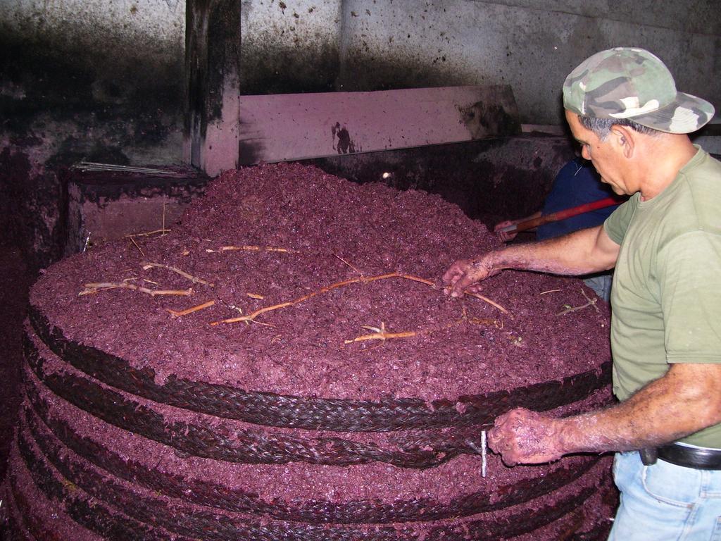 Etna Wine Azienda Agrituristica Passopisciaro Kültér fotó