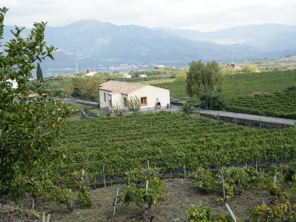 Etna Wine Azienda Agrituristica Passopisciaro Szoba fotó