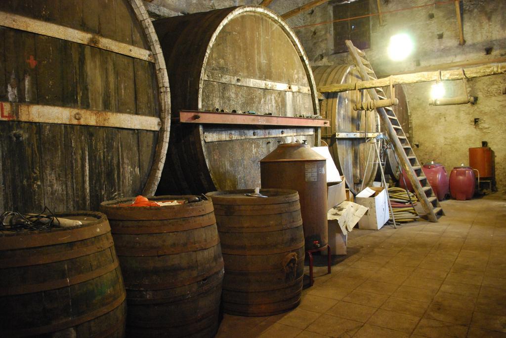 Etna Wine Azienda Agrituristica Passopisciaro Kültér fotó